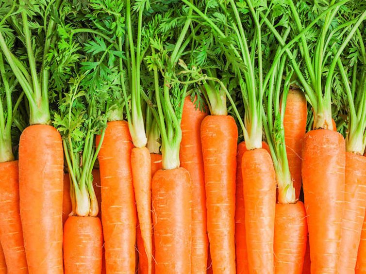 Karotten