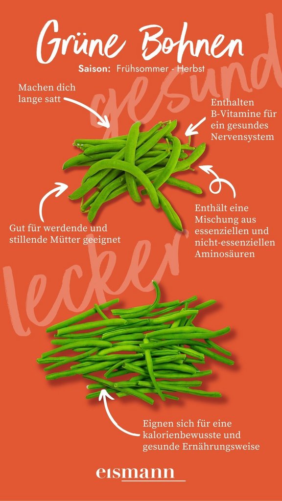 Grüne Bohnen - Eigenschaften, Saison und Vorteile in der Ernährung