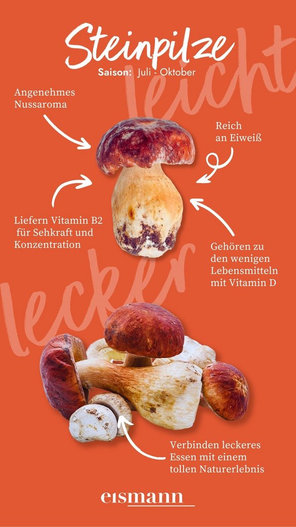 Steinpilze - Eigenschaften, Saison und Vorteile in der Ernährung