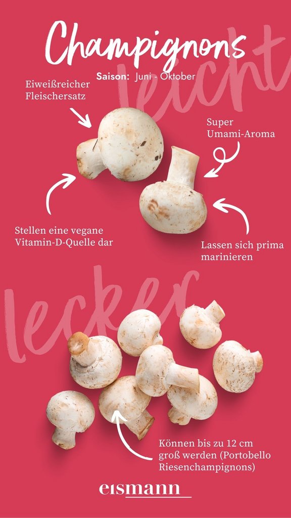 Champignons - Eigenschaften, Saison und Vorteile in der Ernährung