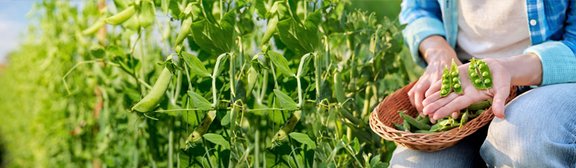 Zertifizierte Qualität bei eismann Zertifizierte Qualität bei eismann