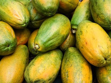 Papaya