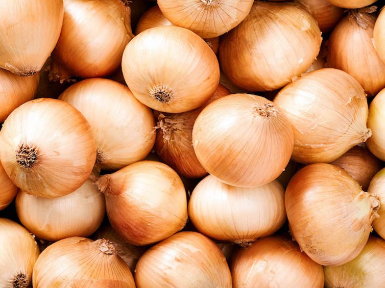 Zwiebeln