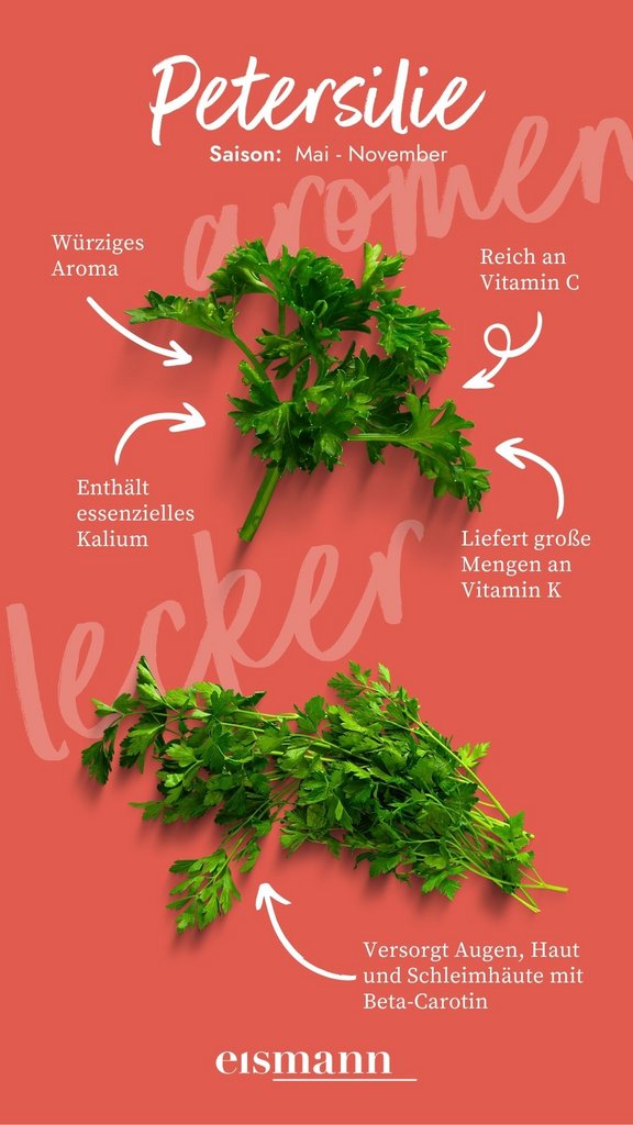 Petersilie - Eigenschaften, Saison und Vorteile in der Ernährung