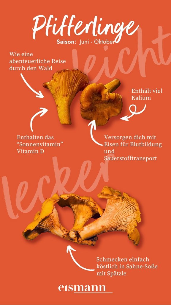 Pfifferlinge - Eigenschaften, Saison und Vorteile in der Ernährung