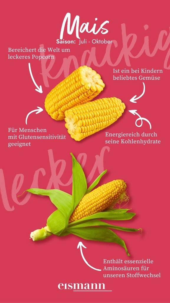 Mais - Eigenschaften, Saison und Vorteile in der Ernährung