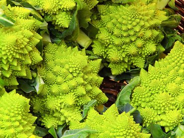 Romanesco