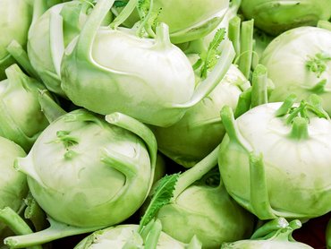 Kohlrabi