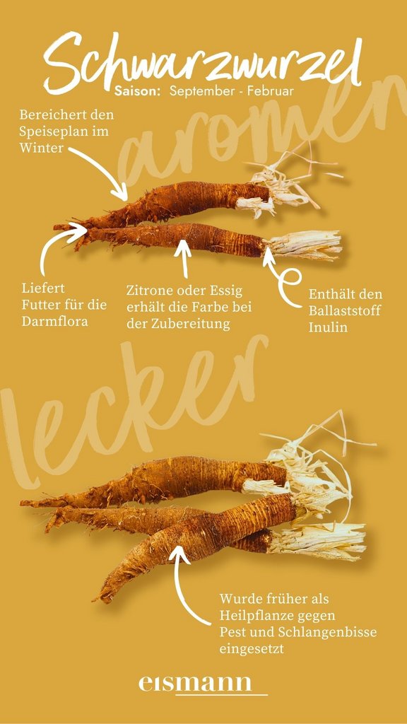 Schwarzwurzel - Eigenschaften, Saison und Vorteile in der Ernährung