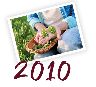 Erbsen Ernte eismann