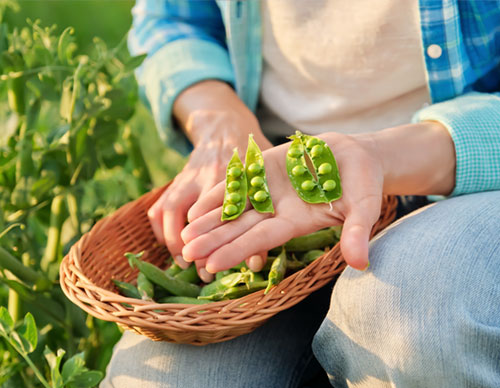 Zertifizierte Qualität bei eismann Zertifizierte Qualität bei eismann