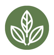 Vegan Icon Vegan Icon