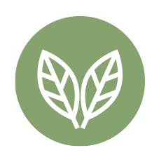 Vegetarisch Icon Vegetarisch Icon